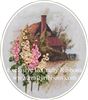 Order  Silk Ribbon Embroidery Kit - Hollyhock Cottage